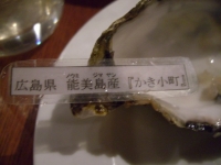 2008021628.jpg