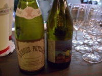 2008112208.jpg