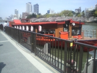 2010040402.jpg