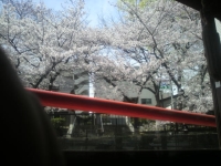 2010040405.jpg