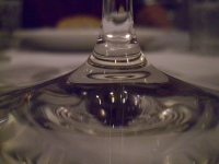 2010052920.jpg