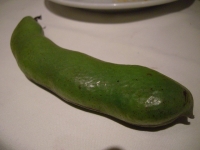 2010052935.jpg