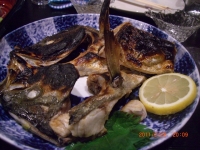 2011022607.jpg