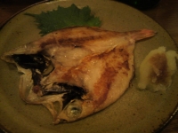 2011030102.jpg