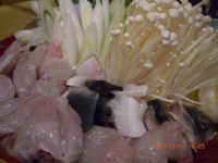 2011030511.jpg