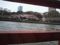 2011040305.jpg