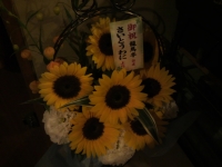 2011061204.jpg