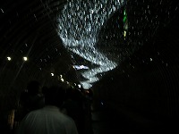 2011080713.jpg