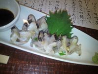 2012033109.jpg