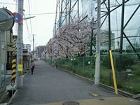 2012040702.jpg