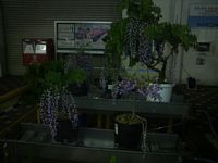 2012042606.jpg